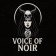 Liberation in the Darkness – Rioghan’s New Live “Element”, Hannah is a Storm in Disguise – Voice Of Noir Avatar