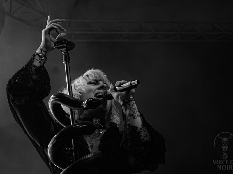 “Everything in our music is a mystery” – Interview with&nbsp;Rioghan